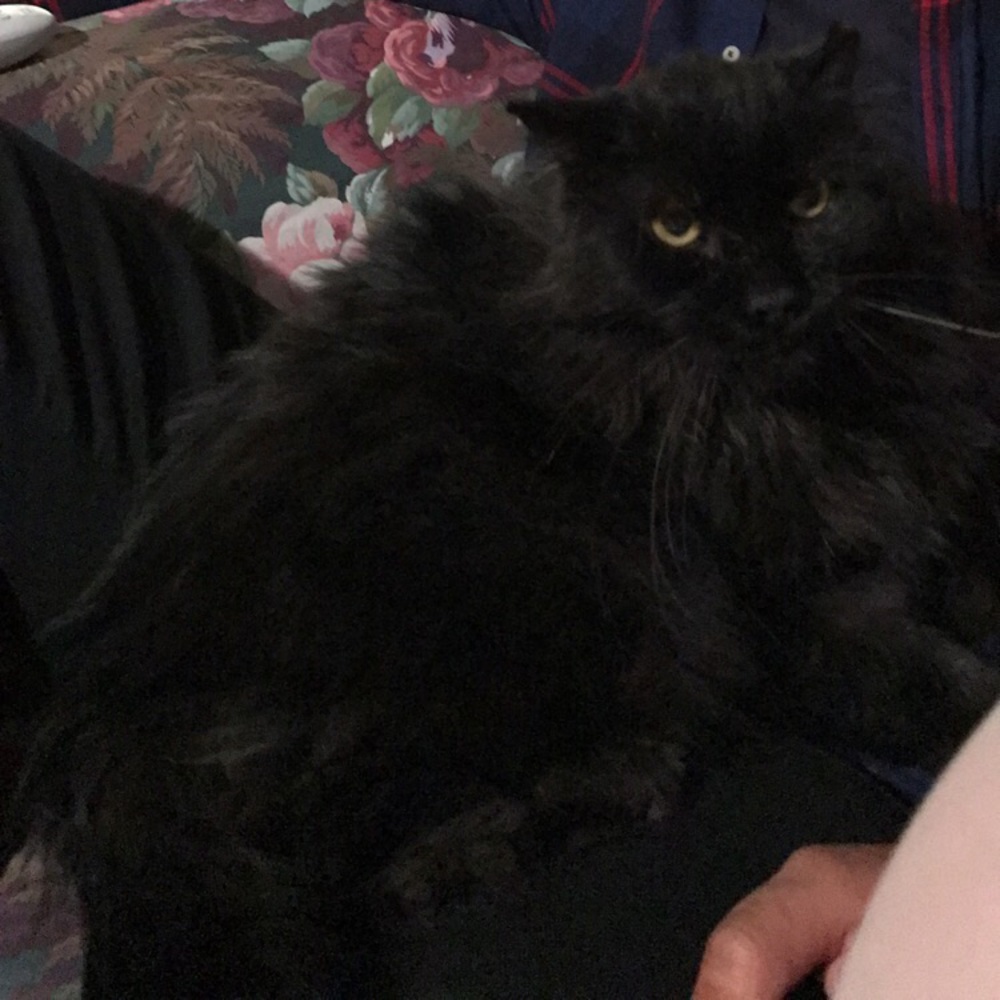 Meet your Posher, Jay